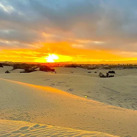 Cozy Maspalomas 公寓